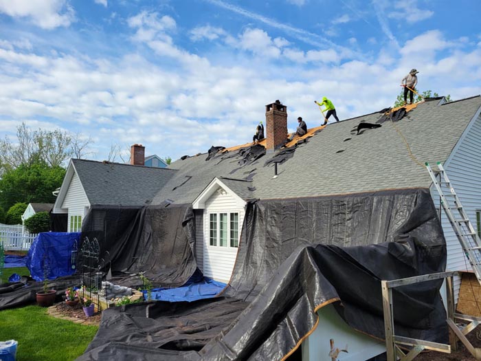 Casa Construction LLC